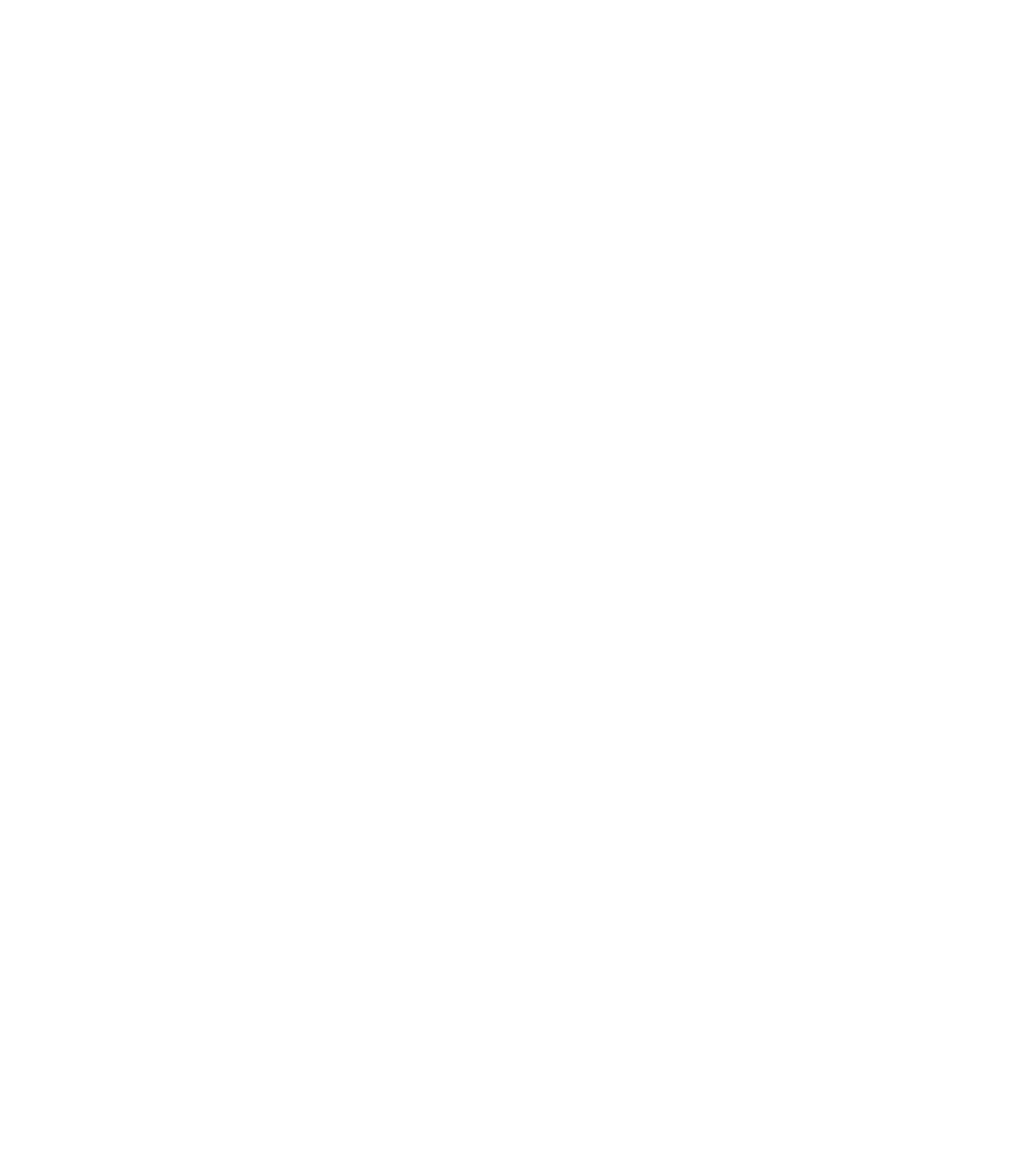 Logo Naked Burger
